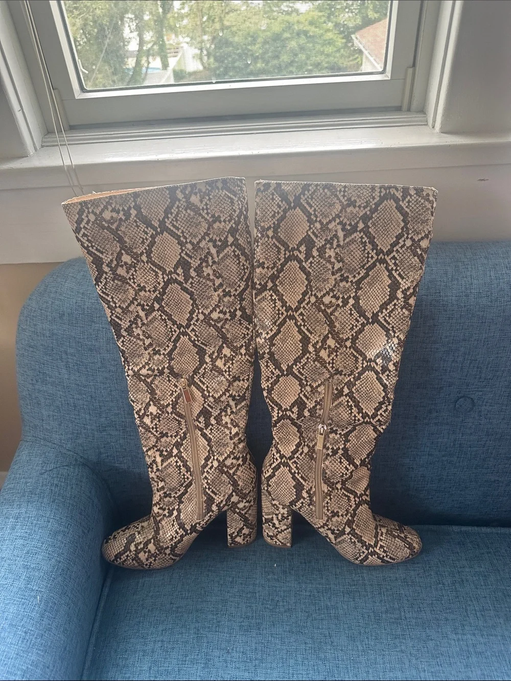 Shoe Dazzle Snake-Print Over-the-Knee Boots in Brown